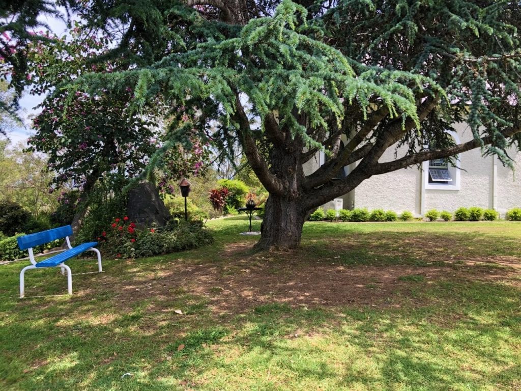 A garden seat under a tree near the Shrine at Mount Schoenstatt