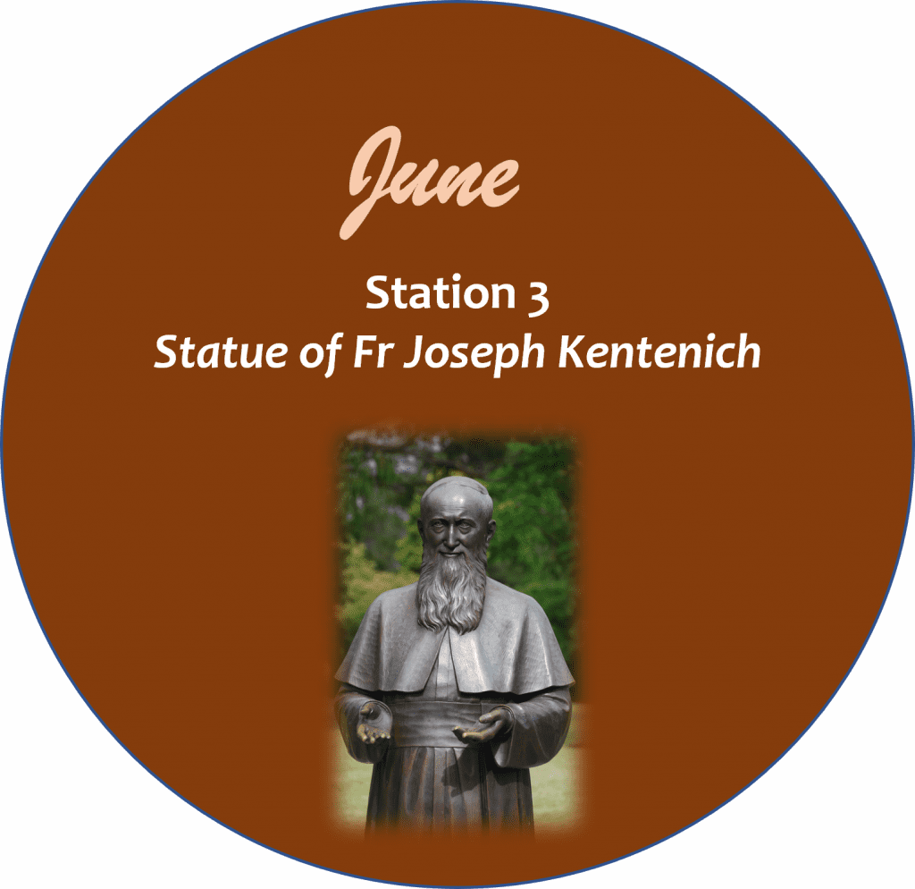 Camino Walk Station 3 icon
