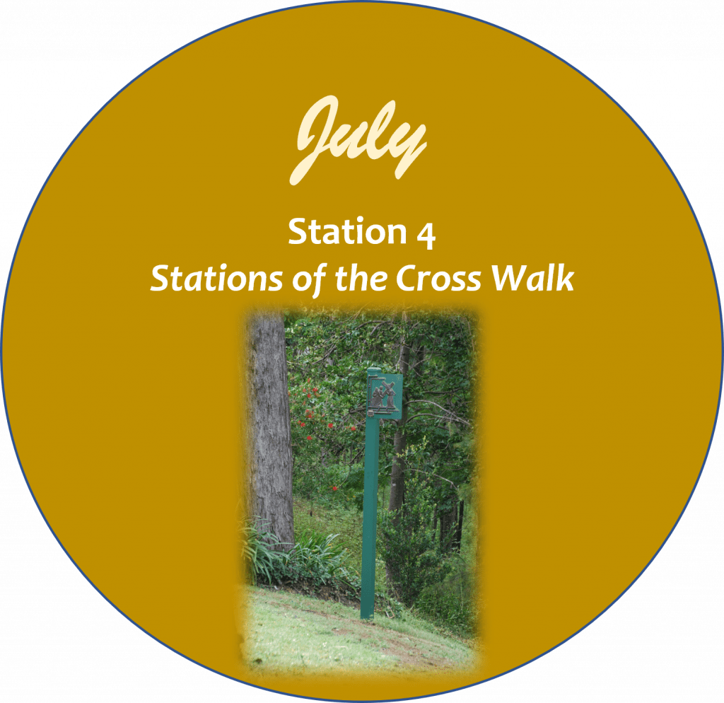 Camino Walk Station 4 icon