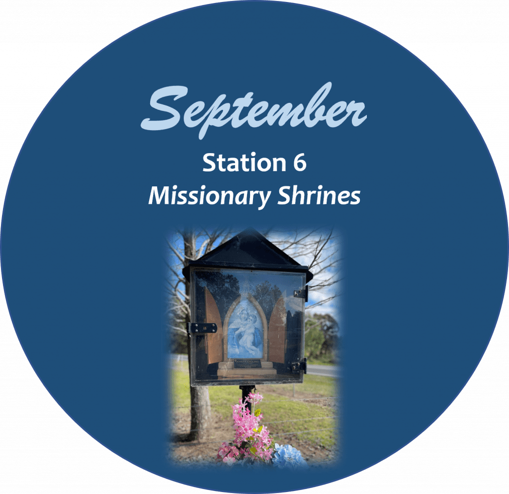 Camino Walk Station 6 icon