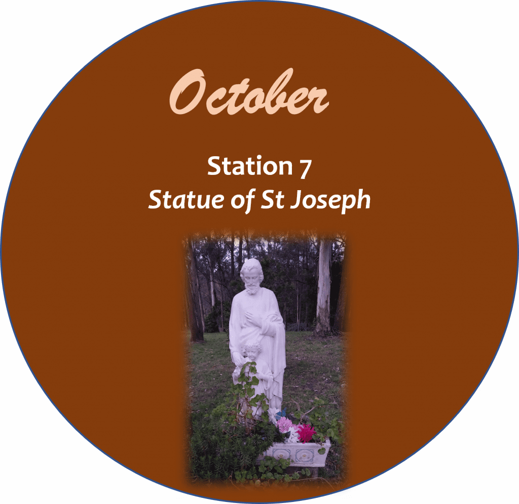 Camino Walk Station 7 icon