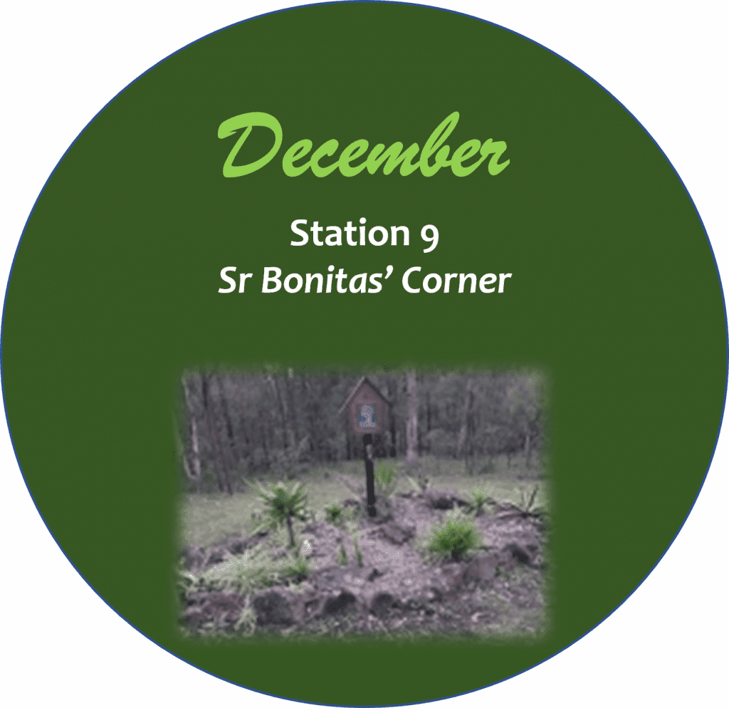 Camino Walk Station 9 icon
