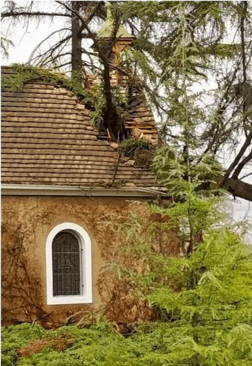 From the February 2025 Schoenstatt newsletter